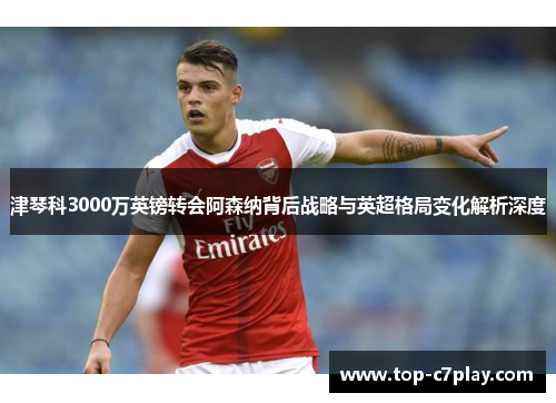 津琴科3000万英镑转会阿森纳背后战略与英超格局变化解析深度